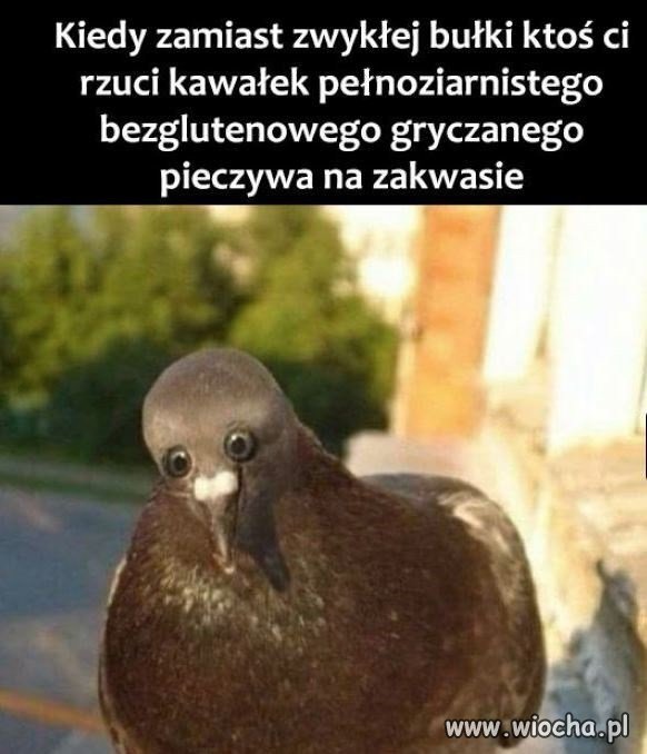 Taka prawda
