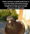 Taka prawda