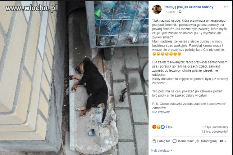 Znalezione w necie