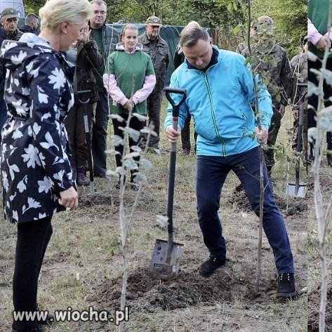 A Puszczę Białowieską wyciąć zezwolił...