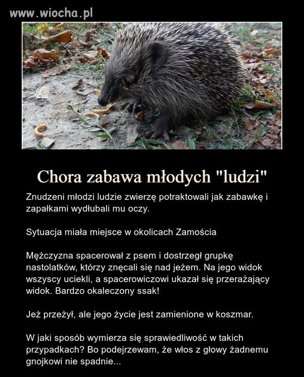 Po prostu brak słów