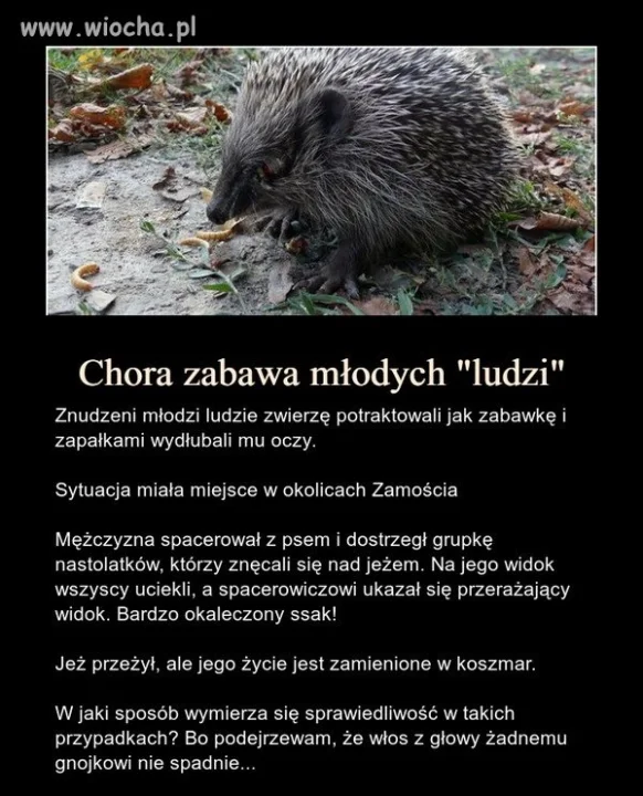 Po prostu brak słów