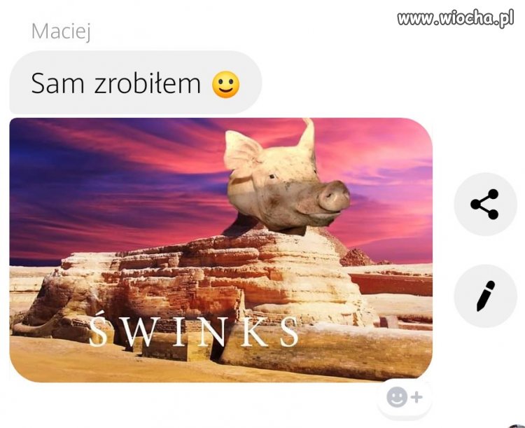 Świnks