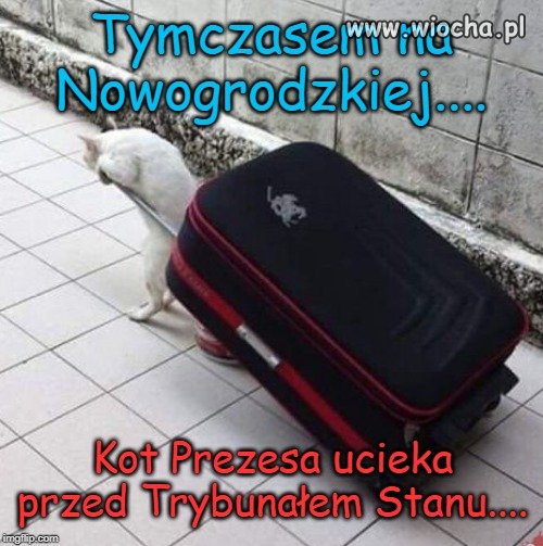 Tymczasem na Nowogrodzkiej