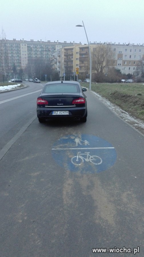 Miszcz kierownicy