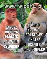 Apap na bol