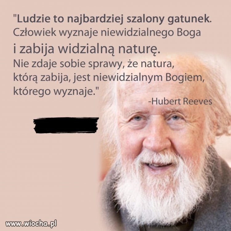 Ja się z nim zgadzam ...