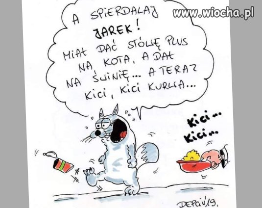 Kici kici