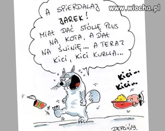 Kici kici