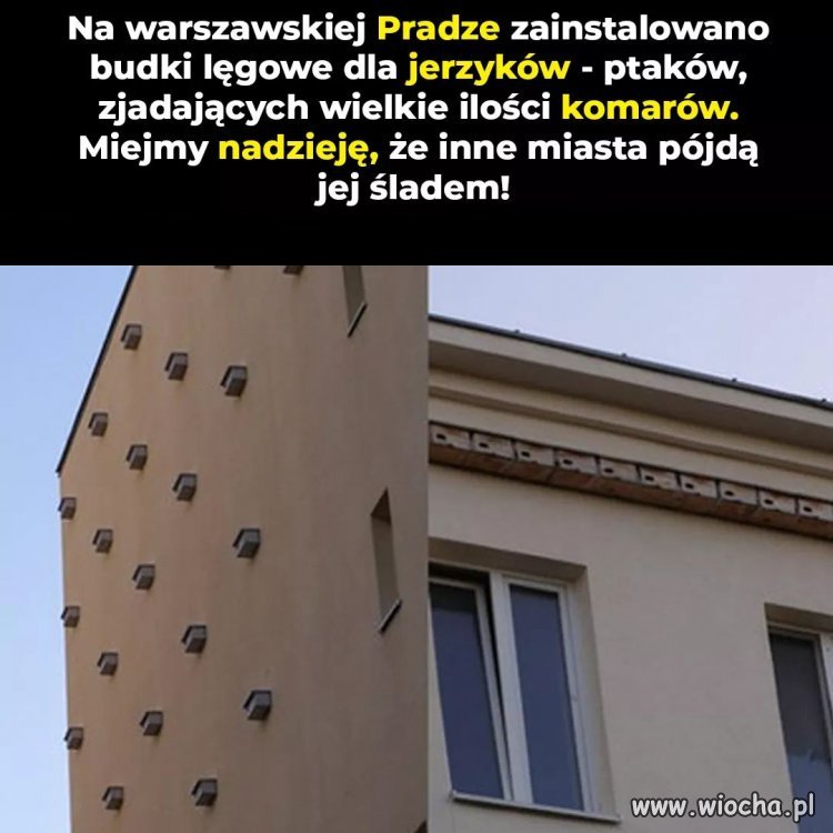 Super pomysł!
