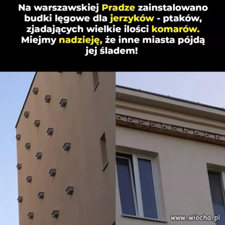 Super pomysł!