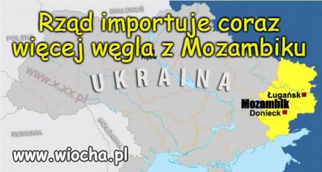 Wielu się pyta