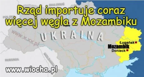 Wielu się pyta