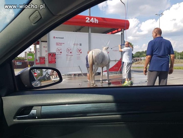 Ferrari na myjni