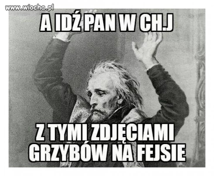 Sezon grzybowy w pełni