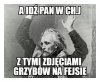 Sezon grzybowy w pełni