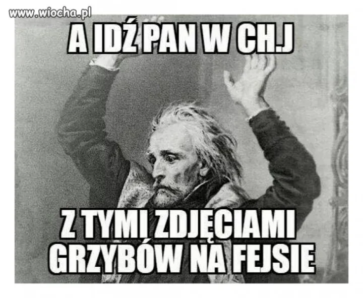 Sezon grzybowy w pełni