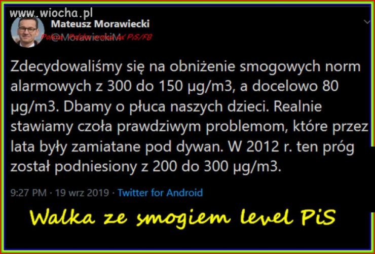 A owce wierzo, że herbata jest słodka od mieszania