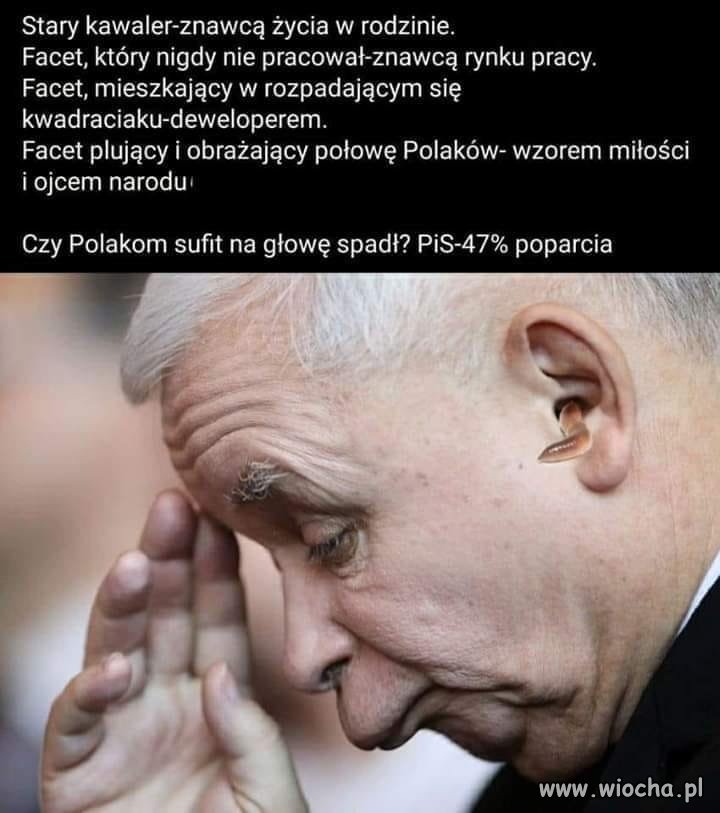 Stary kawaler