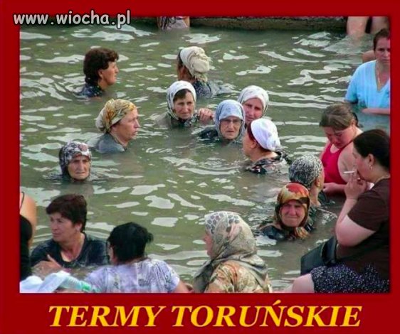 Termy Toruńskie