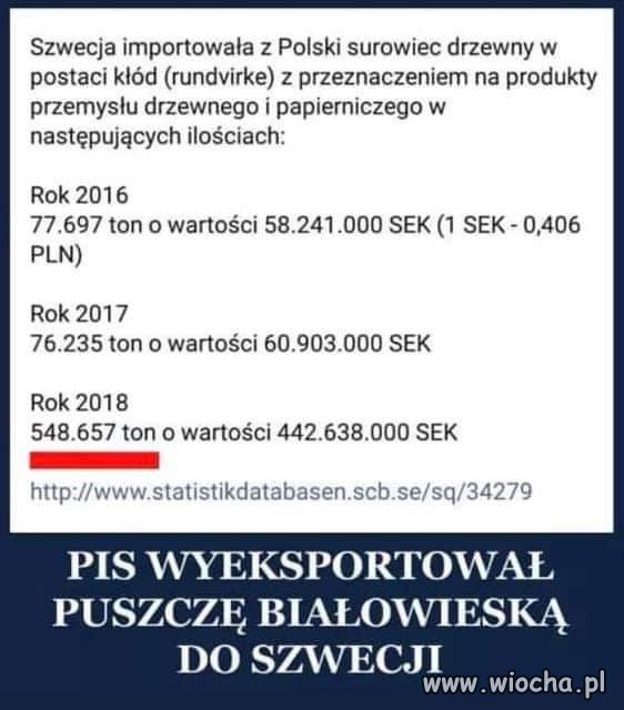 Brawo PiS 