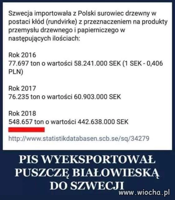 Brawo PiS 