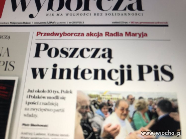 Głodny PiS-ior