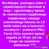 Bo lepszy sort może