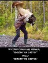 Sezon grzybowy w Czarnobylu