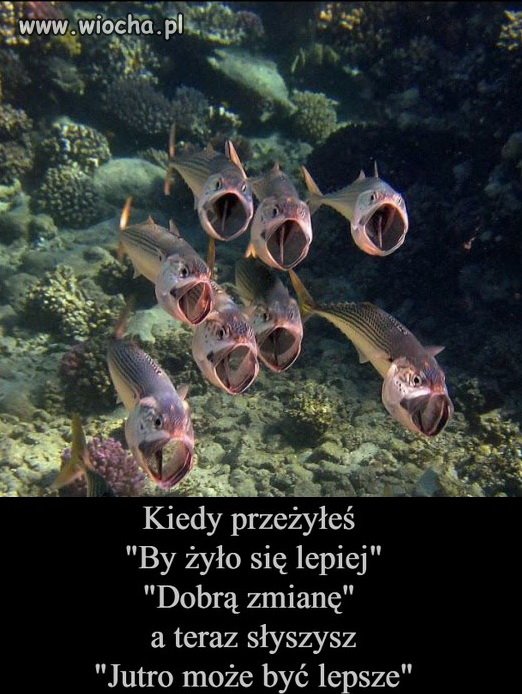 Dokładnie tak