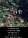 Dokładnie tak