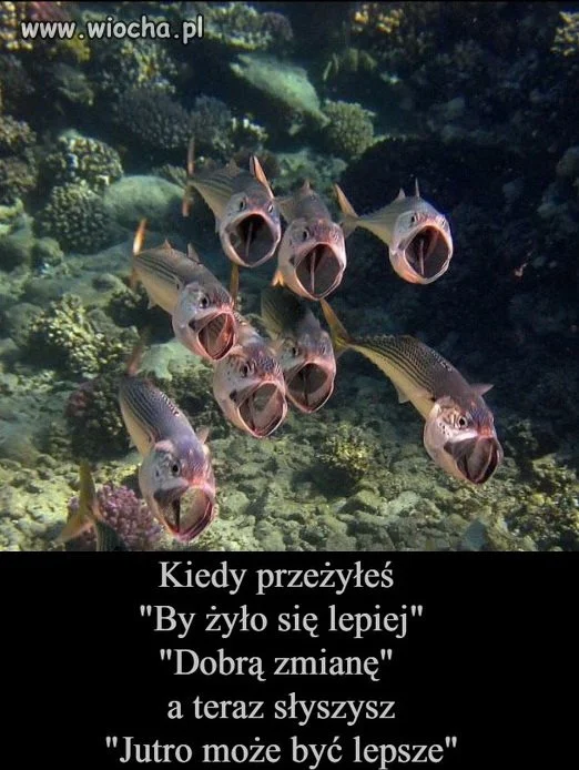 Dokładnie tak