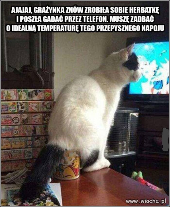 Prawdziwy