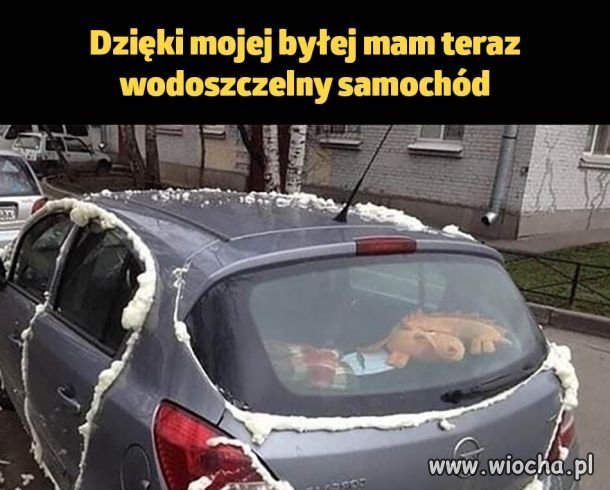 Miała pomysł...?