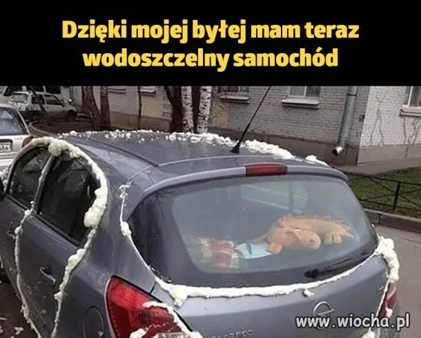 Miała pomysł...?
