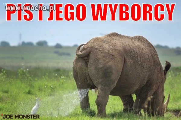 PIS po wyborach