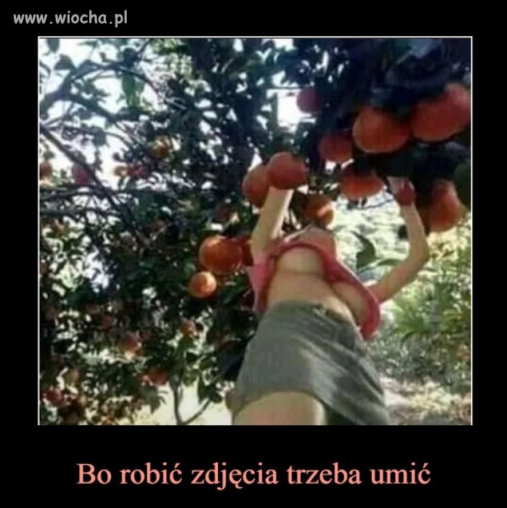 W sadzie