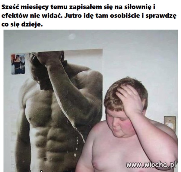 Efekty...