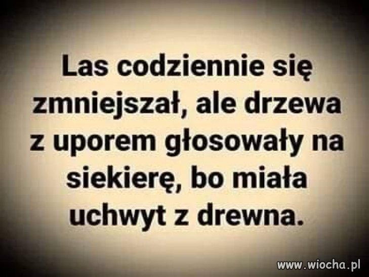 Pod rozwagę wyborcom