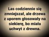 Pod rozwagę wyborcom