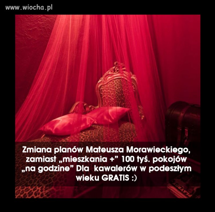 Nowa afera Pis