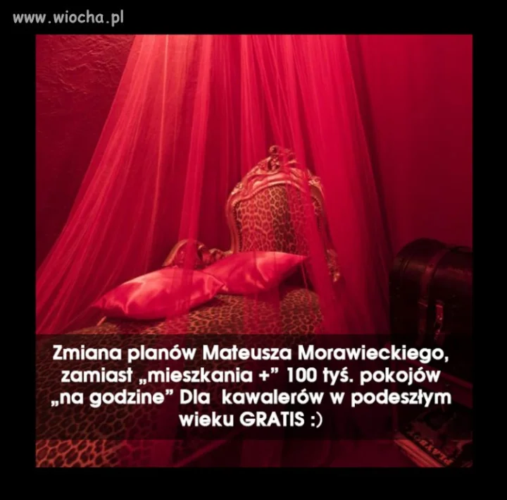 Nowa afera Pis