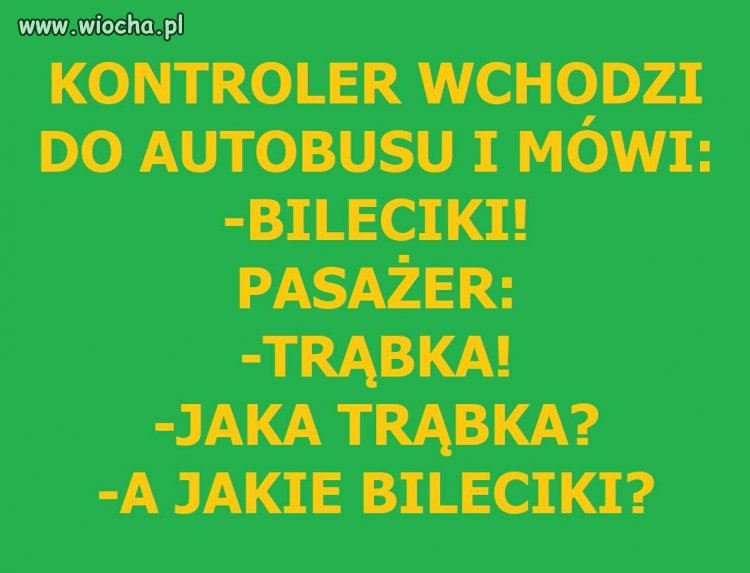 Suchar na dziś