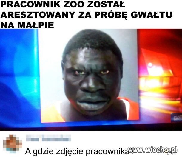 Łączymy się w bólu z pokrzywdzoną małpą
