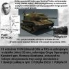 Porządna przypadkowa polityka historyczna