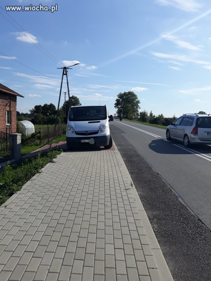 Mistrz parkowania