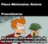 Płaca minimalna rośnie 
