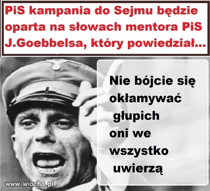Niestety