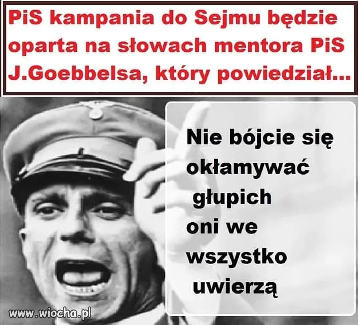 Niestety