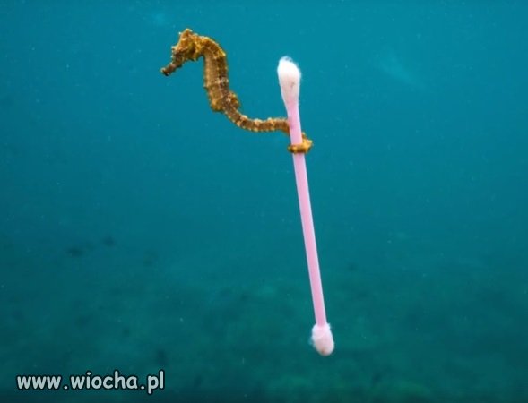 Natura sobie poradzi